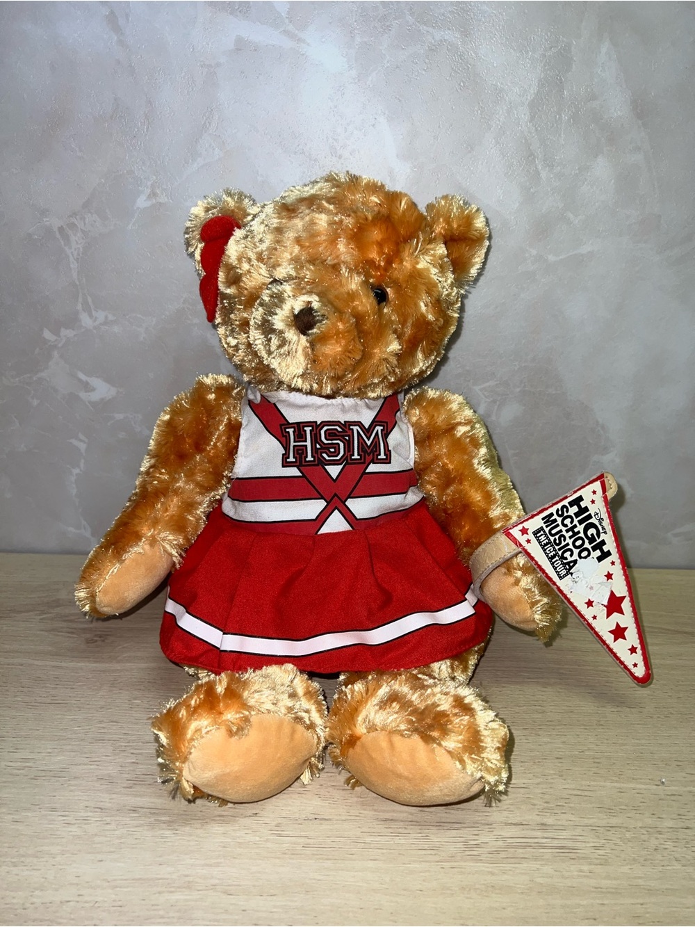 ⭐ Disney High School Musical: The Ice Tour Cheerleader Teddy Bear